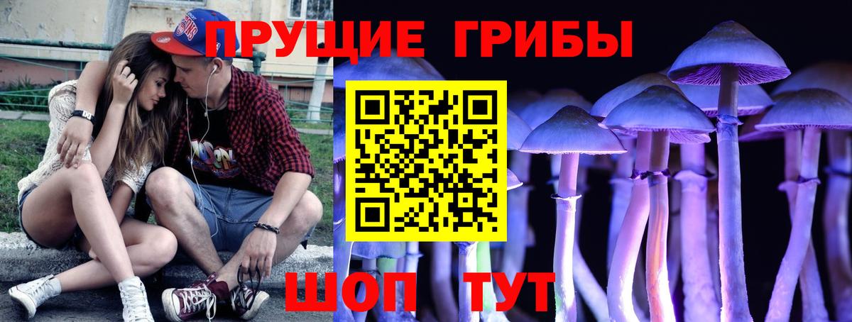 Псилоцибиновые грибы Psilocybe  Вход с VPN  Добрянка 